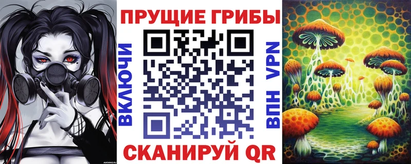 Псилоцибиновые грибы Psilocybe  Подольск 